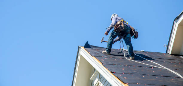 Best Shingle Roofing Installation  in USA